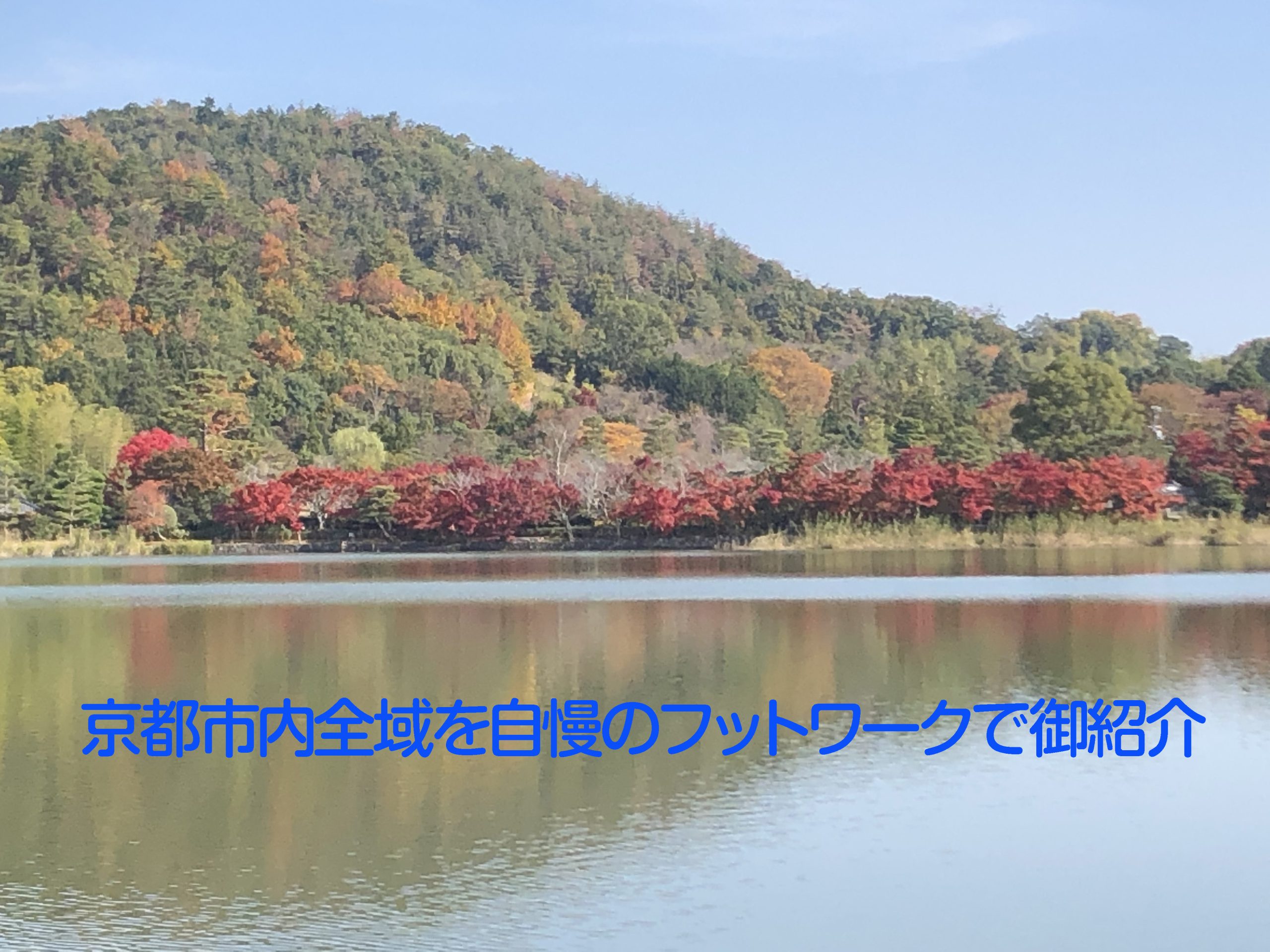 京都市全域自慢のフットワークで御紹介